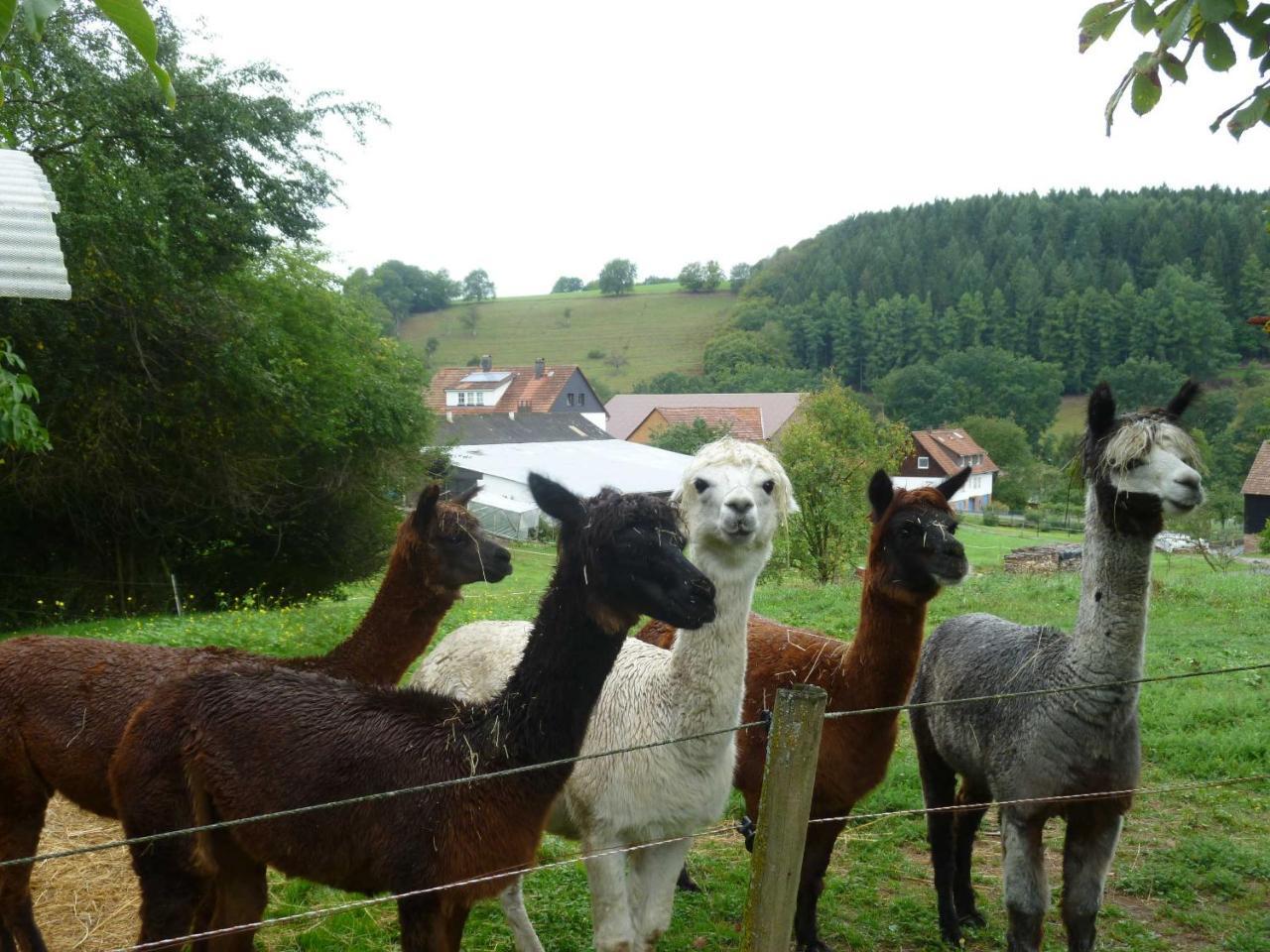 Ferienwohnungen Hof Heiderich Oberzent Exteriér fotografie