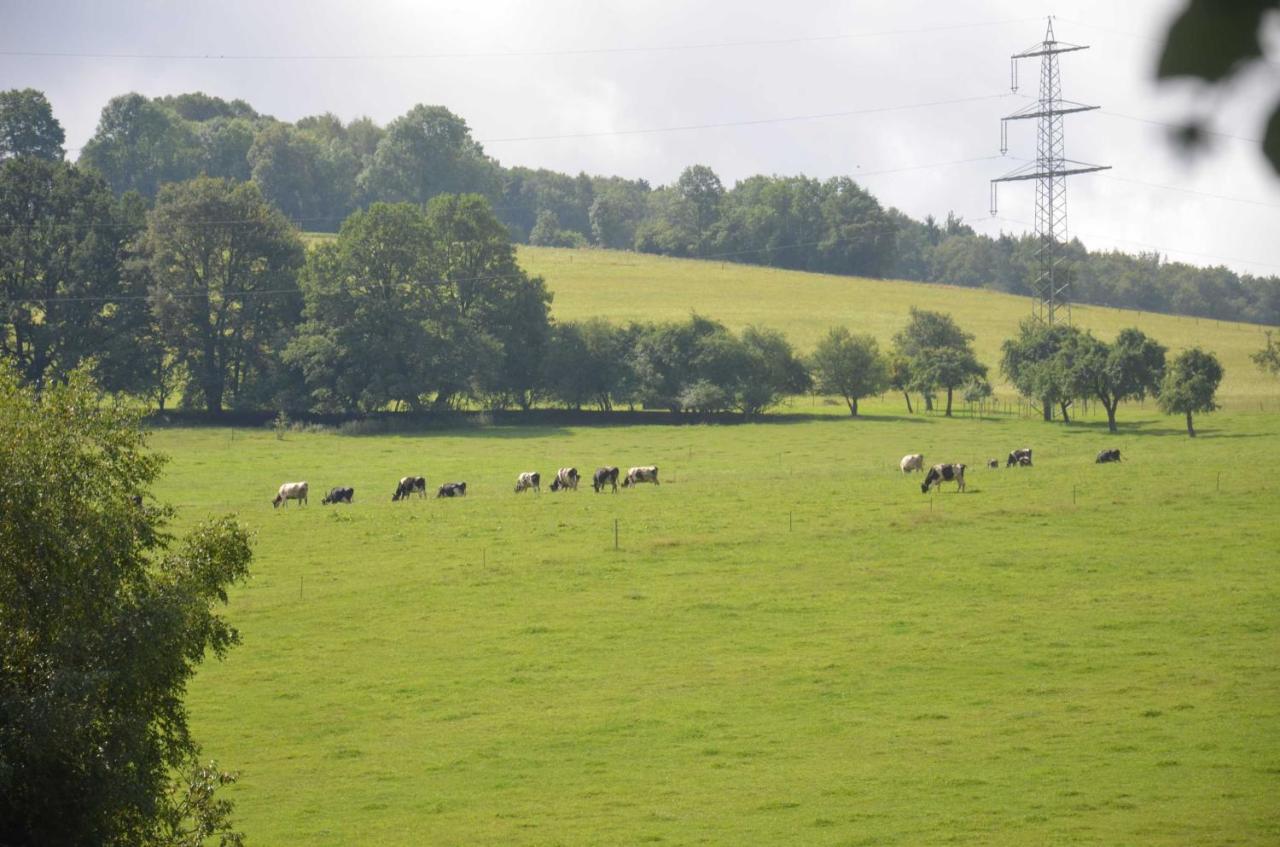 Ferienwohnungen Hof Heiderich Oberzent Exteriér fotografie